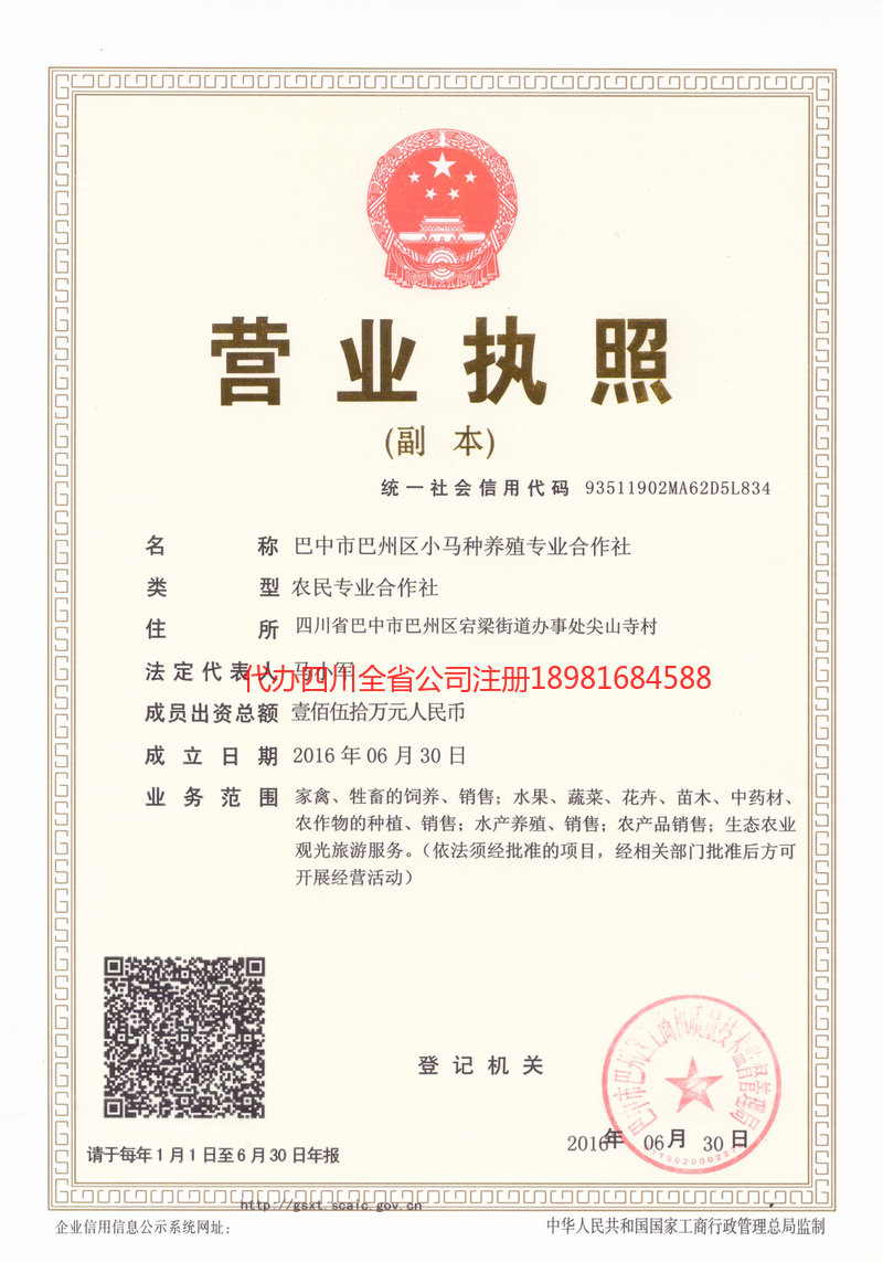 新疆新疆小马种养殖专业合作社